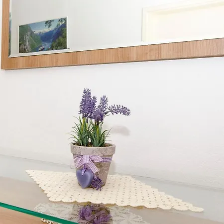 Zvonimir Apartment Necujam